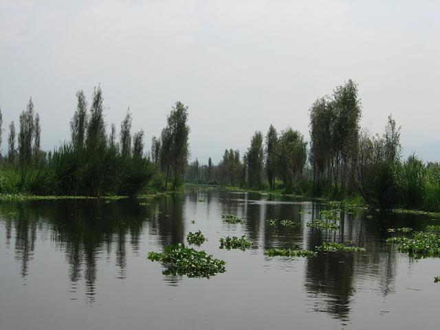 Xochimilco Ecological Park and Plant Market